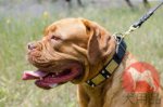 犬の首輪│ボルドー・マスティフ用デコ首輪