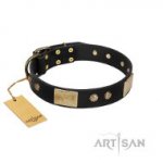 FDT ARTISAN かっこいいスタイルのデザインカラー