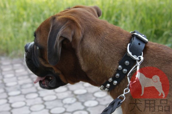 2 way本革首輪　かっこいいスタイル