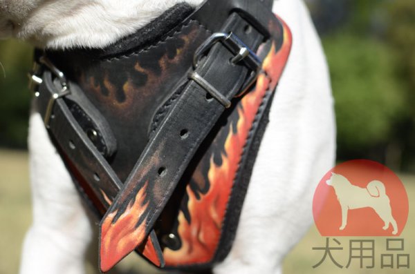 FDT ARTISAN 高級海外犬用カラー