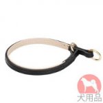 チョーク首輪(ナッパ付き)