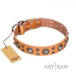 FDT ARTISAN ‘Extra Sparkle’’ ヌメ皮犬用デザイン首輪