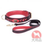 新しいデザイン　首輪とリードのセット