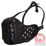 プロ訓練用犬　口輪