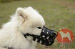 サモエド用本革製口輪