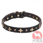 犬用スタッズ付き首輪　ゴールド