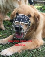 ゴールデンレトリバー 口輪(ワイヤタイプ) [M9###1113 Wire cage