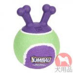 ハンドル付おもちゃボール