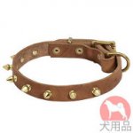 スパイク付ヌメ革首輪(19mm、黄銅)