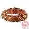スパイク付き大型犬　首輪(45mm,波型)