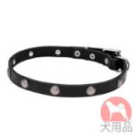 犬　首輪　オリジナル