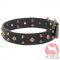 ミックススタッズ付き犬　首輪(40mm)