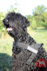 大型犬用引っ張り防止胴輪