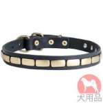 犬　首輪(エレガントのプレート)