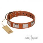 FDT ARTISAN　 可愛いスタイルの首輪