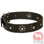 花柄付き革　首輪(ニッケル)