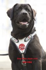 手書きの犬　ハーネス(和風)