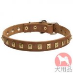 ドット付きスタッズの小型犬　首輪(25mm,黄銅)