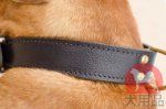 革首輪│ボルドー・マスティフ用レザーカラー