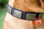 ブルマスティフ　首輪(プレート)