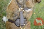 大型犬用軽い本革ハーネス