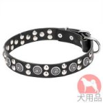 革　首輪(丸スタッズ付)