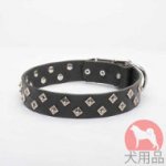 ドット付きスタッズ首輪(ニッケル、40mm)