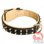 ダブルレザー首輪(黄銅)