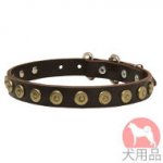 丸型スタッズ付き犬　首輪(25mm)