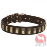プレート付き犬　首輪(黄銅)