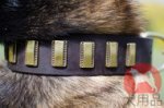 大型犬首輪　縦のプレート付き　ハンドクラフト