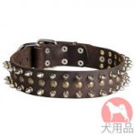 ミックススタッズ付犬　首輪(2+1連、40mm)