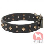 ミックススタッズ付き犬　首輪(40mm)