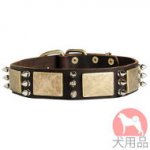 プレート付き大型犬の首輪(スパイク)