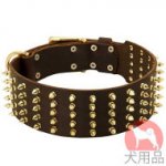幅広首輪(70mm、スパイク)
