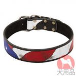 手描き革　首輪(アメリカ国旗柄)