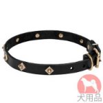 犬用革首輪(ドットスタッズ)