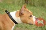 大型犬用革チョーカー