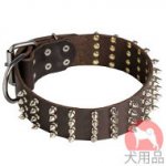 幅広首輪(50mm、スパイク)