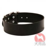 幅広首輪(50mm)　大型犬にピッタリ！