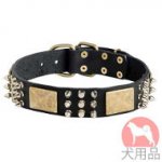 プレート付き大型犬用首輪(3連スパイク)