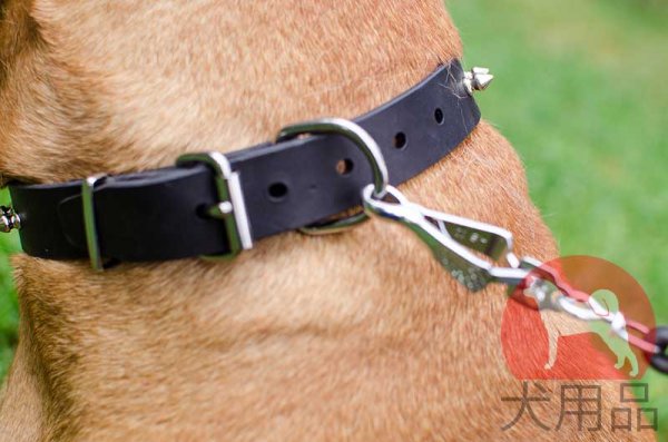 ブルマスティフ　首輪（ニッケル）