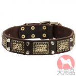 プレート付き中型犬の首輪(黄銅プレートとニッケルピラミッド)