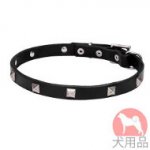 ピラミッド　首輪