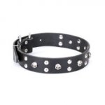 FDT Artisan 大型犬用首輪　海賊デザイン