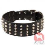 幅広首輪(60mm、ピラミッド)