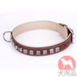 大型犬用首輪　ユニークなデザイン