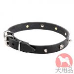 海賊スタッズ付犬　首輪(ニッケル、25mm)