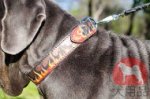 ナポリタンマスティフ用炎柄付き首輪