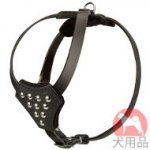 小型犬ハーネスおしゃれ(丸型スタッズ付き)